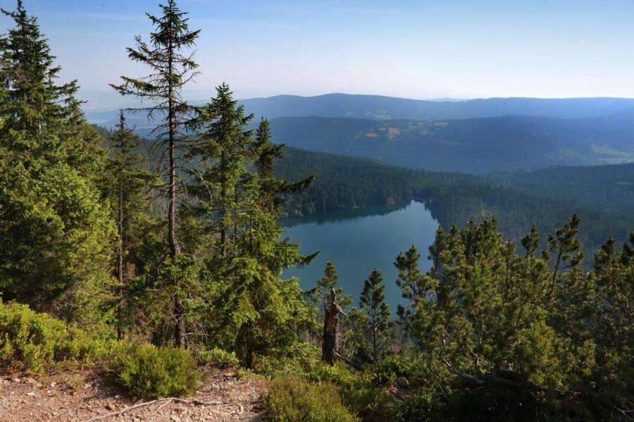Apartmany U Sneka Železná Ruda エクステリア 写真